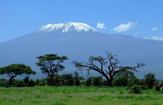climbing Mt. Kilimanjaro