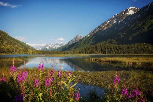 alaska fishing