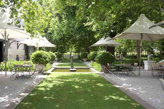 South Africa Scene