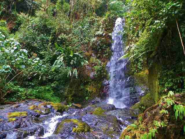 Pittier Park Costa Rica