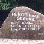 Bukit Timah rock
