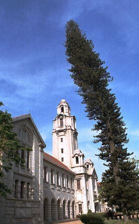 Indian Institute of Science