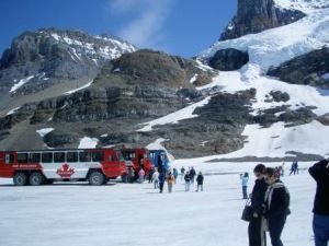Columbia Icefield visitors