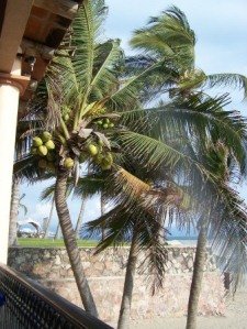 Vacation Getaway for Two