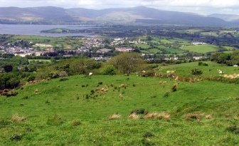Pasture in Ireland