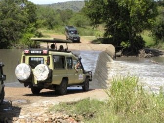 Risky Crossing African safari planning