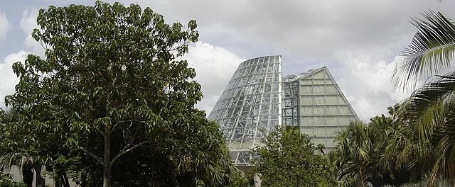 san
