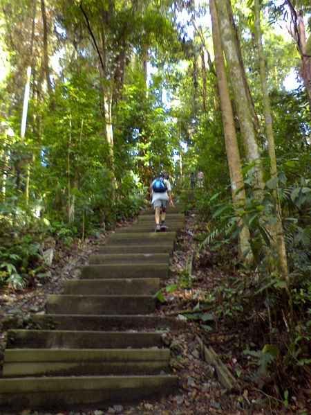Steps to summit of Bukit Timah Hill Singapore