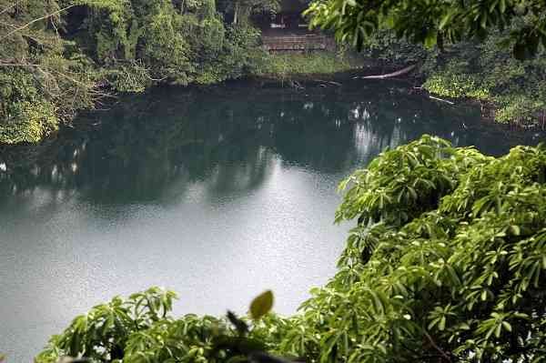 Bukit Timah Nature Reserve