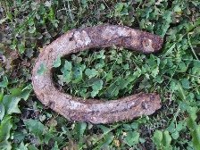 Horseshoe in Clovers Good Luck Sayings