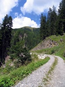 humanitarian road trip